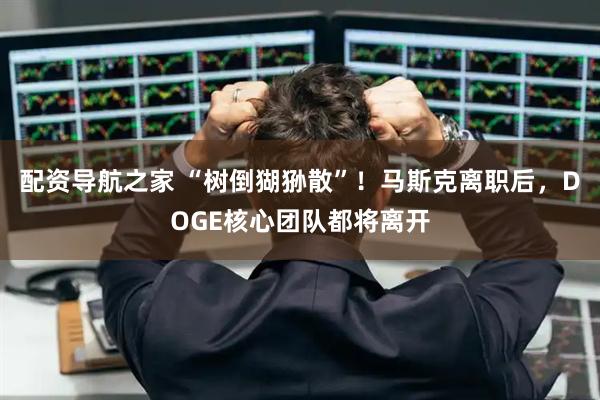 配资导航之家 “树倒猢狲散”！马斯克离职后，DOGE核心团队都将离开