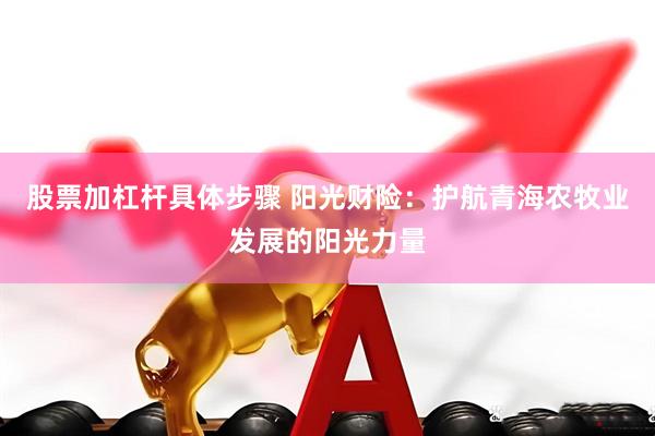 股票加杠杆具体步骤 阳光财险：护航青海农牧业发展的阳光力量